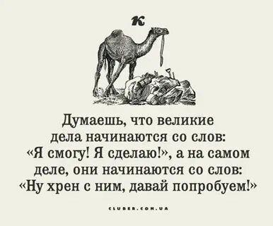 Слова со словом хрен