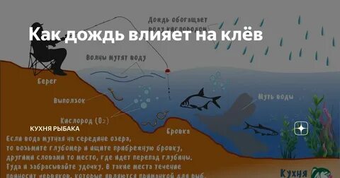 Оптимальное давление для рыбалки осенью