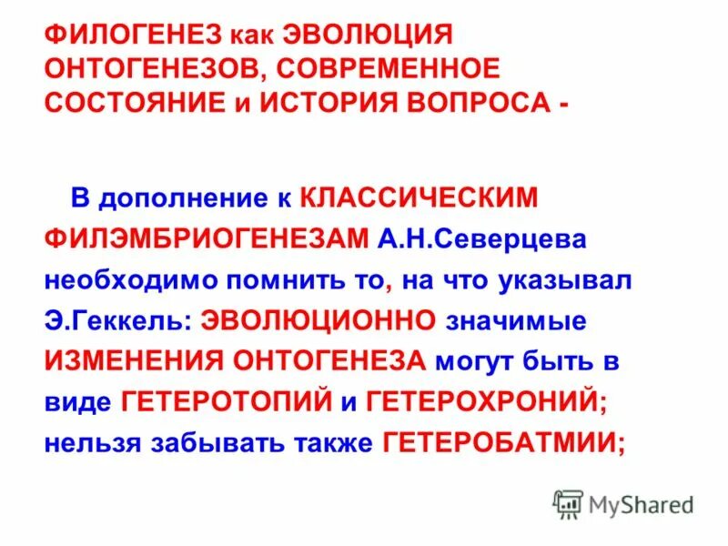 Филогенез является