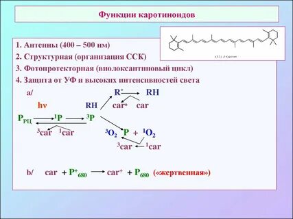 Выделение каротиноидов метод