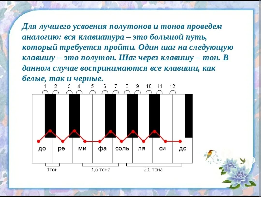 Звук на 3 тона. Тон полутон знаки альтерации. Тон и полутон сольфеджио 1 класс. Тон полутон строение мажорной гаммы. Тон полутон на клавиатуре.