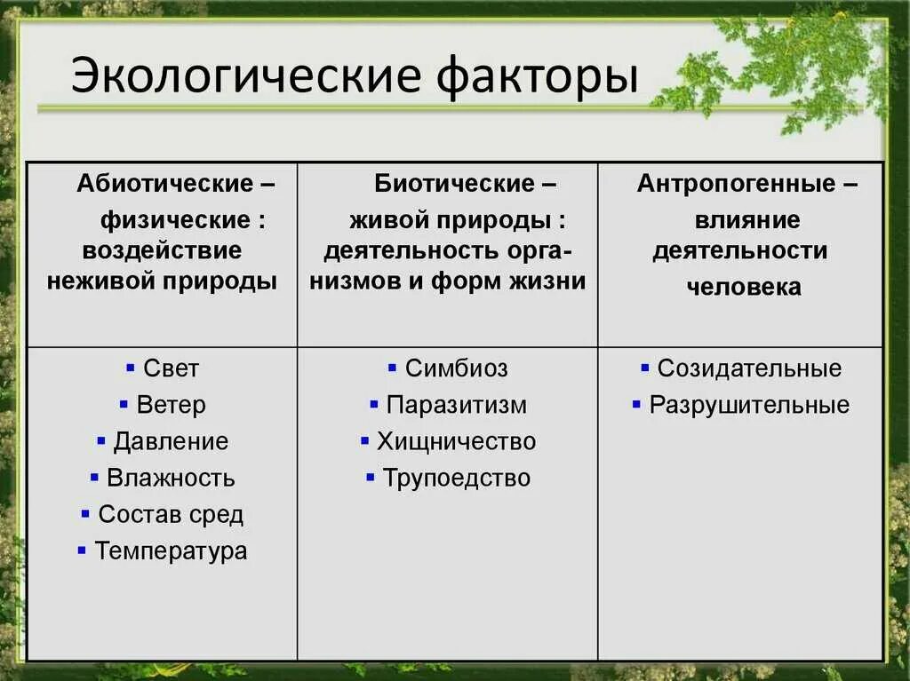 Факторы среды дать определение. Экологические факторы абиотические биотические антропогенные. Экология абиотические и биотические факторы. Факторы среды абиотические биотические антропогенные. Биотические и абиотические факторы среды.