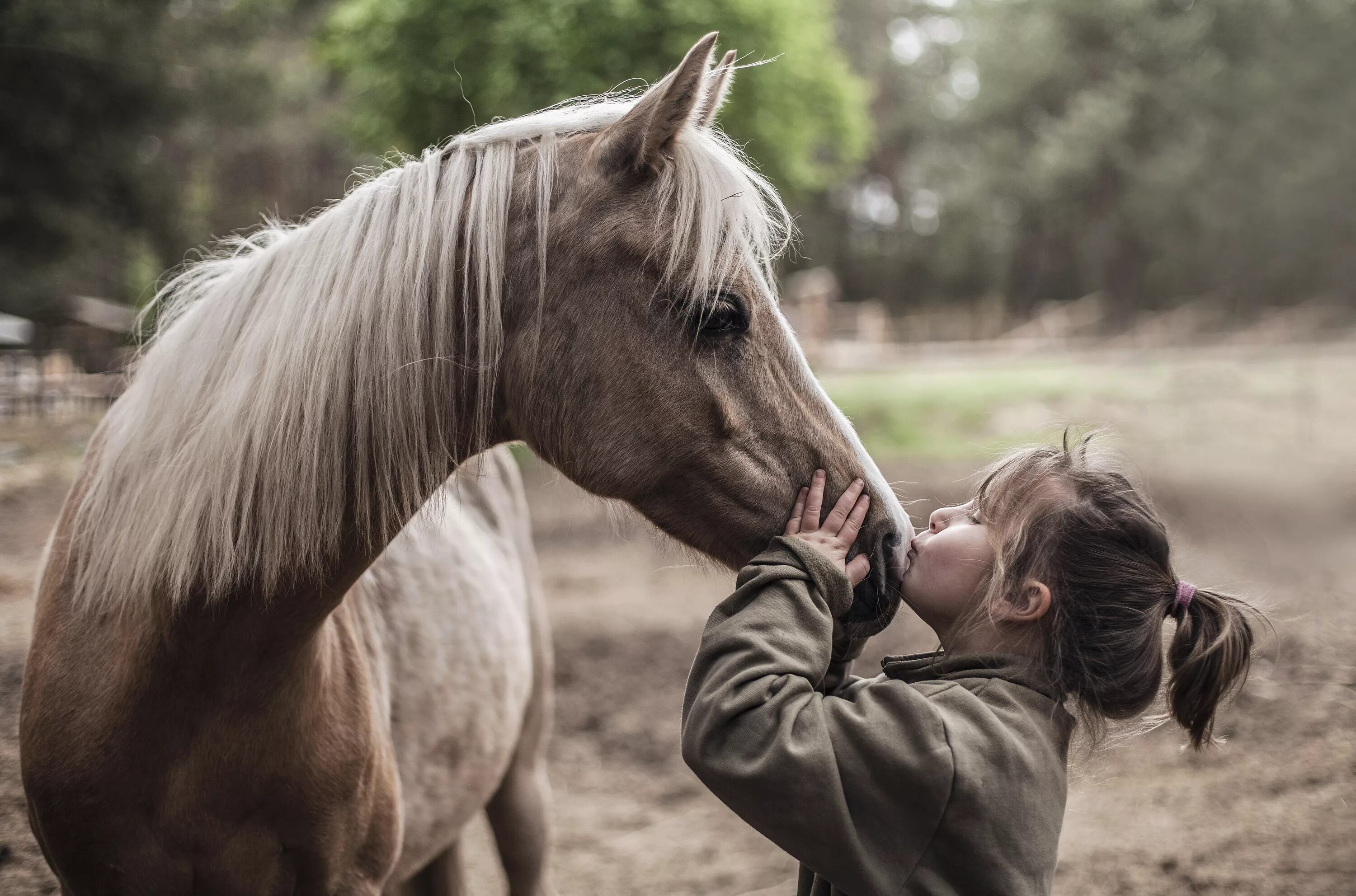 Horse kids. Девочка на лошади. Лошадь для детей. Лошадки для девочек. Девочка и конь.