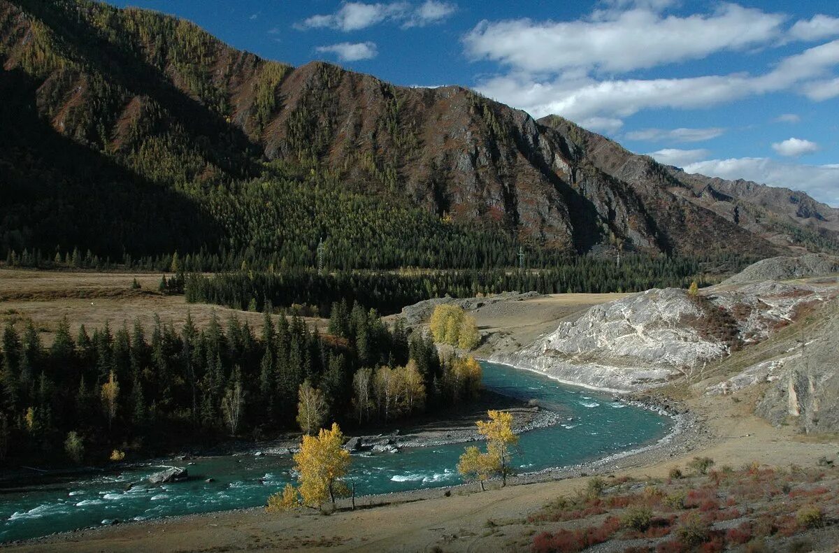 погода на месяц на алтае чемал. весенний чемал. село чемал республика алтай. деревня катунь горный алтай. погода на месяц на алтае чемал.