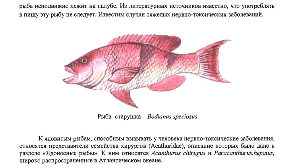 Почему рыба вредна. Виды ядовитых рыб. Ядоносность рыб.. Не ядовитые рыбы. Съедобные и несъедобные рыбы.