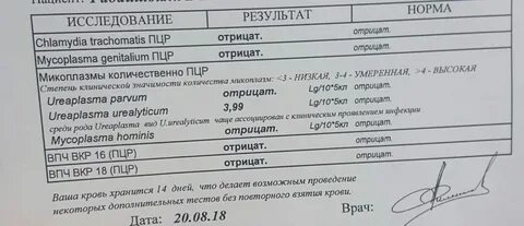 Пцр тест результаты анализа
