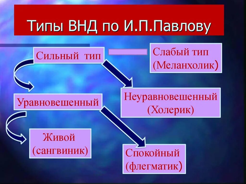 Признаки специфической нервной деятельности. Типы высшей нервной деятельности по и.п Павлову. Таблица «типы высшей нервной деятельности, по и.п. Павлову». Типы высшей нервной деятельности схема. Типы ВНД по Павлову слабый.