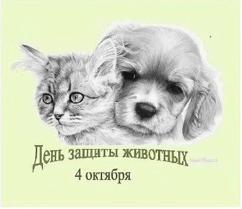 Когда будет день животных. День защиты животных. деньзащититы животных. всемирный день животных. всемирный день животных 4 октября.
