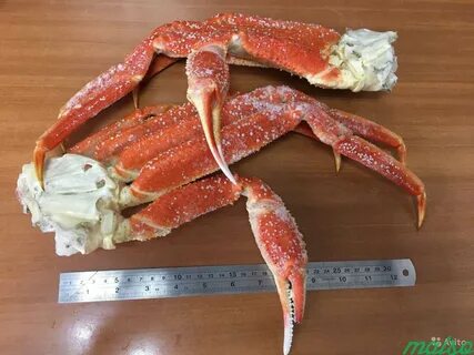 Краб стригун
