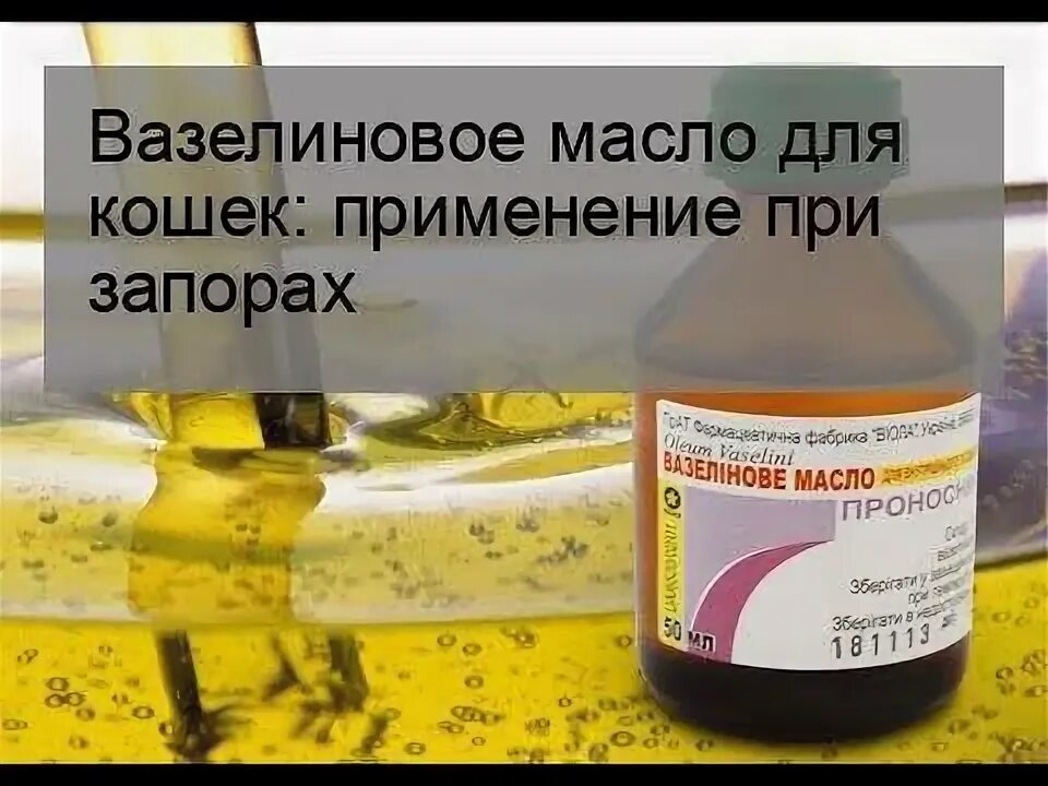 Вазелиновое масло применение при запорах отзывы. Вазелиновое масло кошке при запоре. Масло от запоров для кошек. Таблетки от запора для кошек. Вазелиновое масло для кошек.