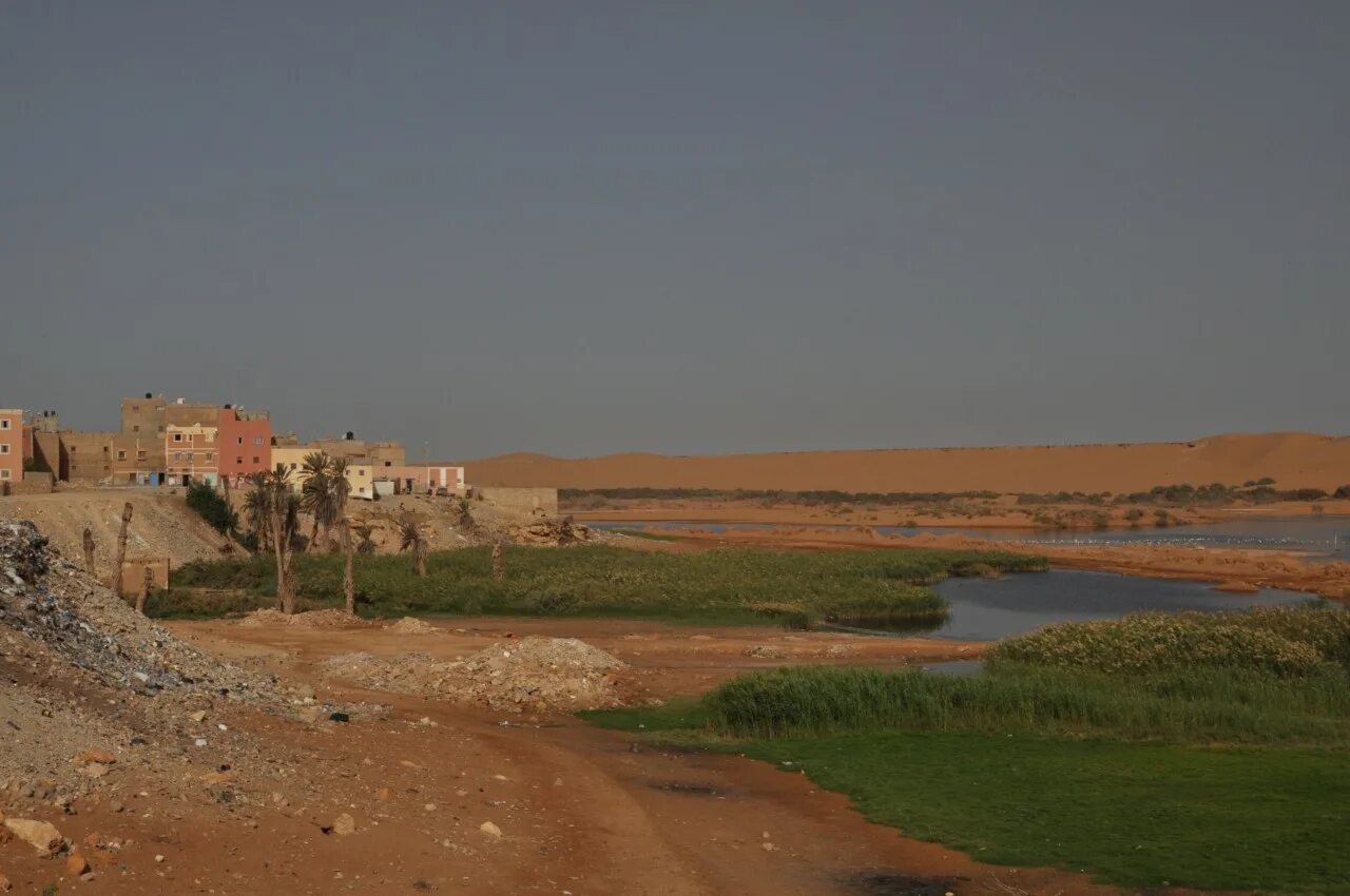 Страны западной сахары. Марокко город Эль Аюн. Эль Аюн Западная сахара. Сахарская арабская Демократическая Республика Эль-Аюн. Флаг Эль Аюн.