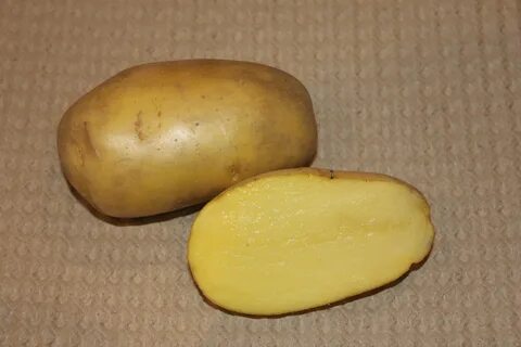 Желтые сорта картофеля