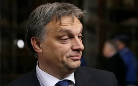 Интервью орбана