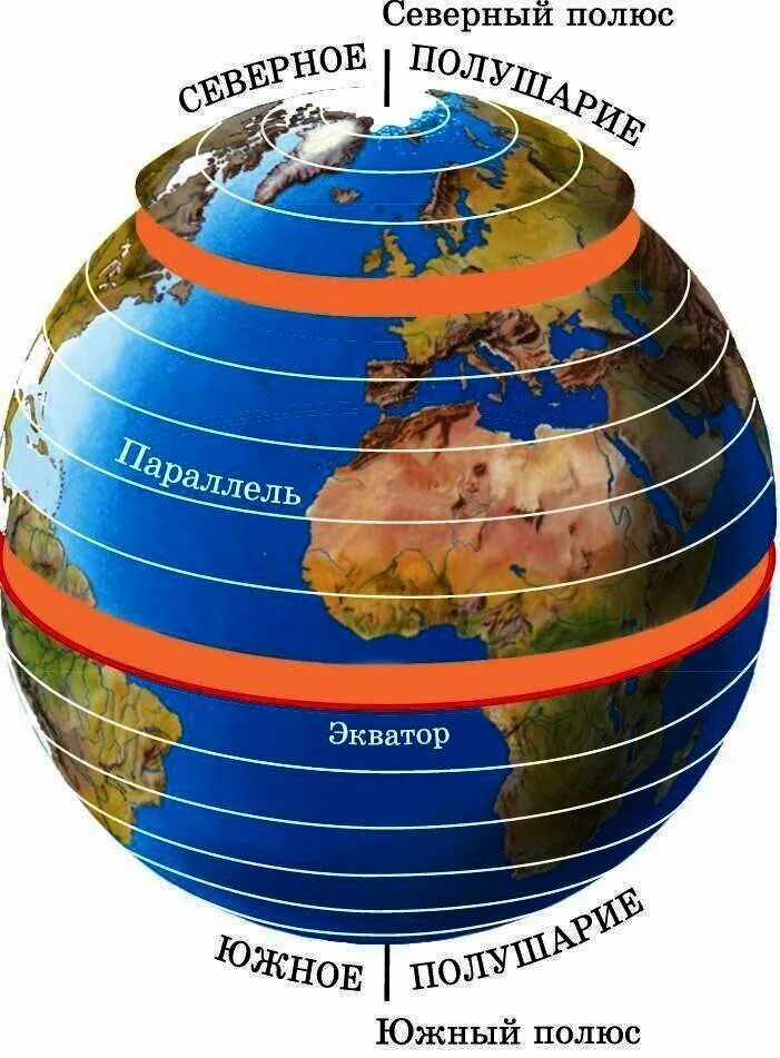 Параллель на земном шаре. Экватор Меридиан параллель шара. Глобус меридианы параллели Экватор. Меридианы и параллели на глобусе. Параллели на земном шаре.