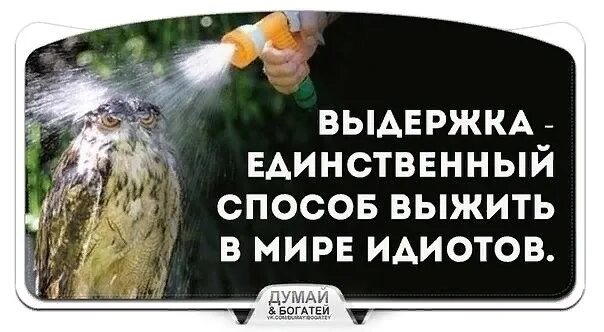 Выдержка единственный способ выжить среди идиотов. Выдержка выжить в мире идиотов. Выдержка единственный способ выжить в мире. Терпение единственный способ выжить в мире идиотов. Слово помогает выжить