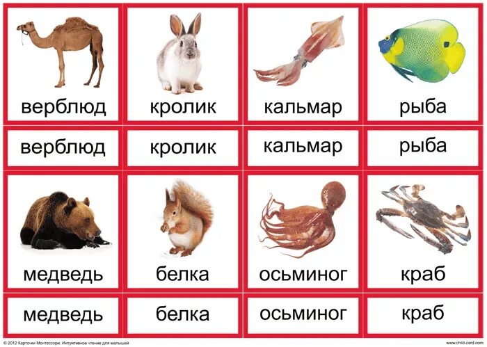 Глобальное чтение пособие. Глобальное чтение карточки. карточки по глобальному чтению. карточки со словами и картинками. глобальное чтение для детей карточки.