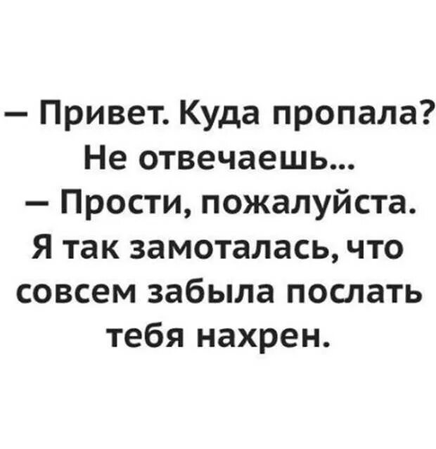 Куда пропал пилигрим. Куда пропал открытки. Ты куда пропал. Привет куда пропал. Ты куда пропал картинки.