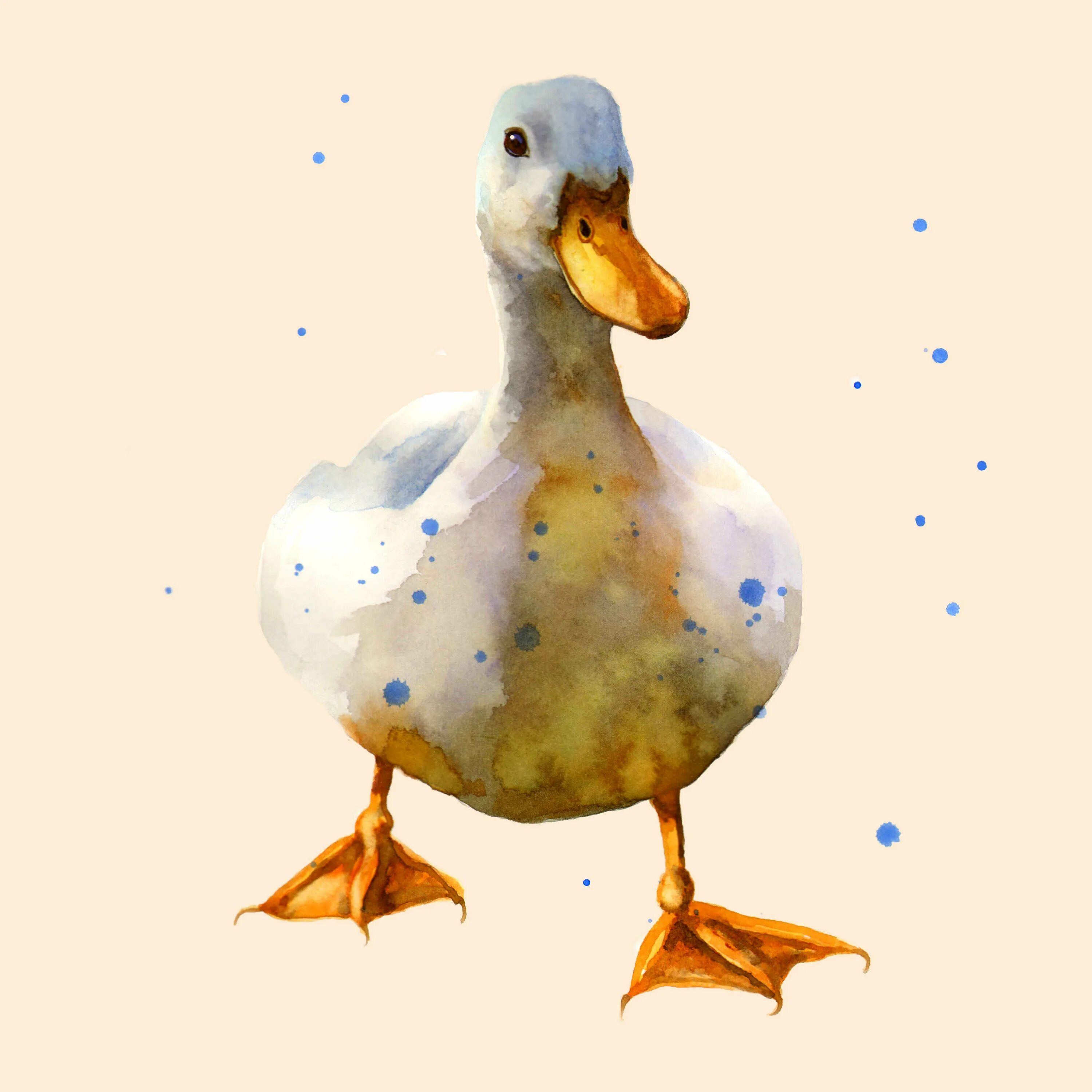Уточка гуашью. Уточка. Картины селезень. Утенок красками. Duck art.