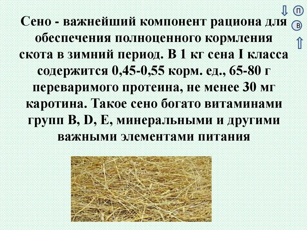 Сено 1 класса. Технология возделывания сена. Сено характеристика. Технология возделывания и уборки сена.. Уборка трав на сено презентация.