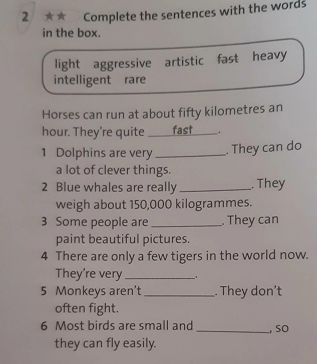 Complete the sentences with the. Complete the sentences with the Words in the Box. Complete the sentences with the Words. 2. Complete the sentences with Words:. Complete the sentences with wish