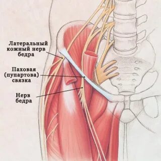 Симптомы и лечение растяжения паховых связок