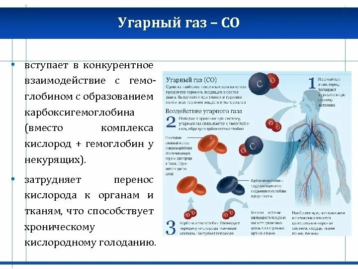 Не вступает в реакцию угарный газ. Не вступает в реакцию угарный газ