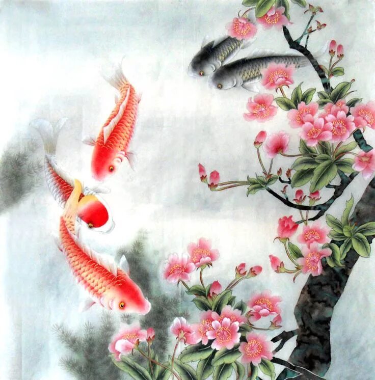 Китайские рыбки фото Карпы кои Koi fish drawing, Koi art, Koi watercolor