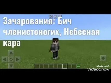 Что дает бич членистоногих