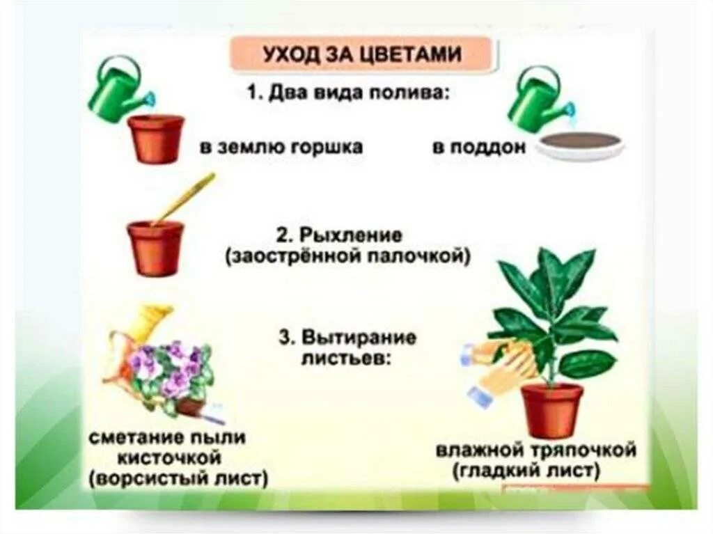 Уход заикомнатными растениями. Схема ухода за растениями. Схема комнатного растения. Уход за комнатными растениями для детей.