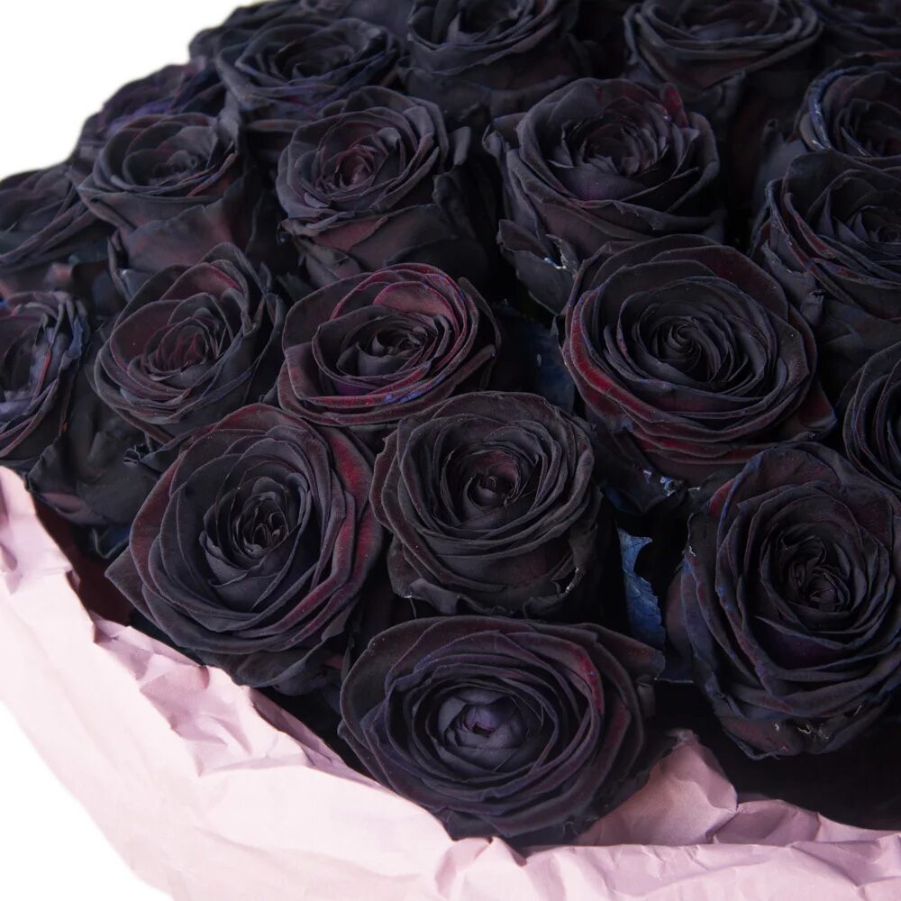 Картинки черных цветов. Черная роза. Черные розы букет. Букет черных роз. Чёрная роза цветок.