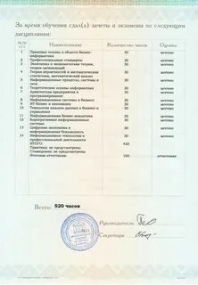 Бакалавр информатики