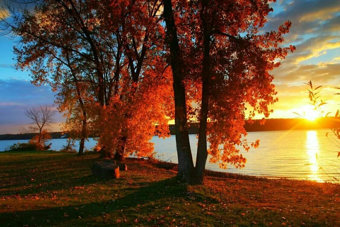 Осенний закат. Осенний рассвет. Красивая осень. Осенний пейзаж. Осенний берег моря