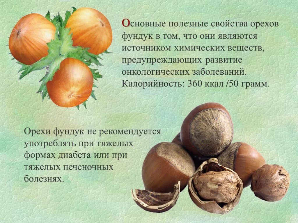 Чем полезны орехи для женщин. Чем полезны орехи для женщин. Чем полезны орехи для женщин. Фундук польза и вред. Чем полезен орех пекан.