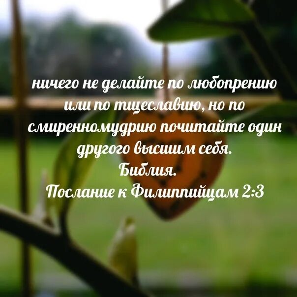 Ничего не делайте по любопрению или по тщеславию. Ничего не делайте по любопрению или тщеславию. Почитайте один другого высшим себя. По смиренномудрию почитайте один другого высшим себя.