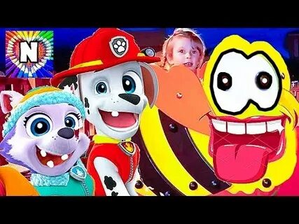Включи видео патруля
