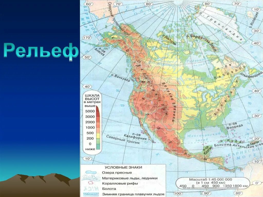 Рельеф сша 7 класс география. Карта рельефа Северной Америки 7 класс. Горы равнины вулканы Северной Америки на карте. Низменности равнины горы Северной Америки на карте. Формы рельефа Северной Америки на контурной карте 7 класс география.