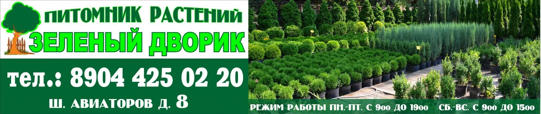 Питомники волгоградской области. Баннер питомник растений. Вывеска питомник растений. Питомник растений Волгоград. Реклама питомника растений.