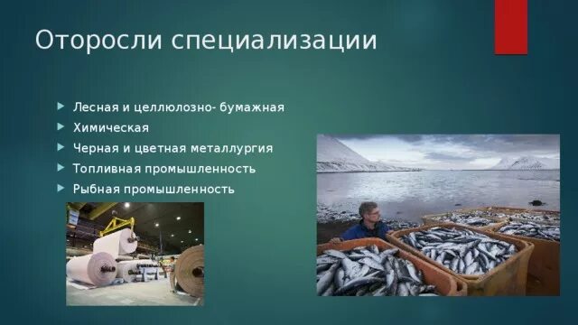 Отрасли промышленной специализации поволжья. Отрасли рыбной промышленности. Природные ресурсы поволжья 9 класс карта. Предприятия пищевой отрасли. Рыбная промышленность является специализацией северо востока поволжья.