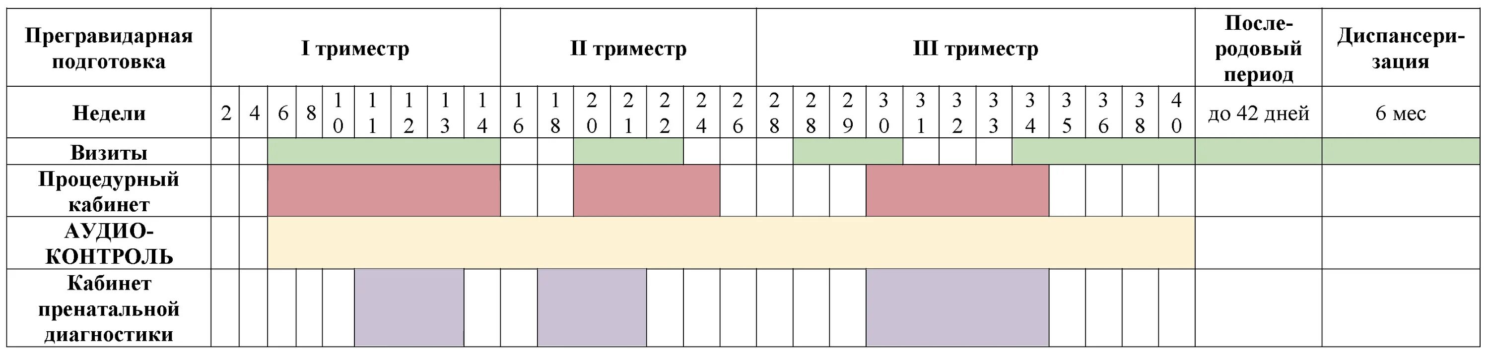 Головокружение 2 триместр. Течение беременности по триместрам. График беременности по триместрам. График наблюдения беременности 1 триместр. Развитие ребенка по триместрам.