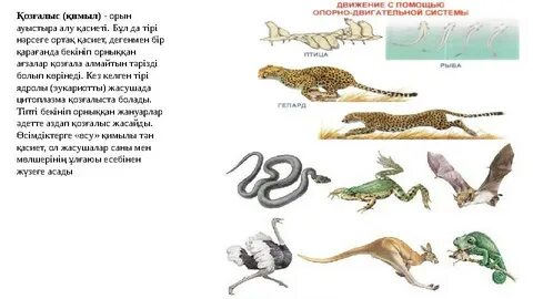 Кішкентай Люпе қатты секс