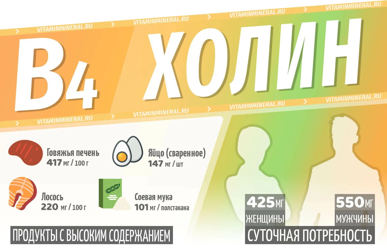 Препараты содержащие холин. Холин витамин в4 препараты. витамин б4 холин лекарство. kal choline (холин) 250 мг 100. холин для печени.