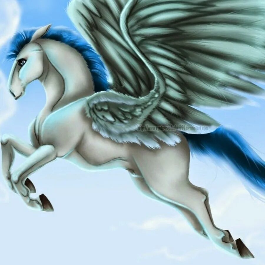 Пони единорог пегас. Единорог Пегас Аликорн. Аликорн крылатый Единорог. Единорог с крыльями. Лошадь с крыльями.