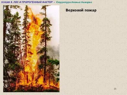 Верховой пожар наиболее опасен сдо