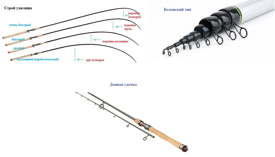 Какой должна быть длина удочки. Фидерное удилище телескоп дайва. Удилище болонское шимано 4м. Классификация Строй фидерного удилища. Удилище Фишер 390.