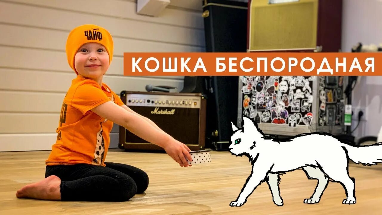 Кошка беспородная ты сидишь голодная. Кошка беспородная песня. Песня кошка беспородная ты сидишь голодная. Детский хор великан кошка беспородная. Беспородная ты сидишь голодная