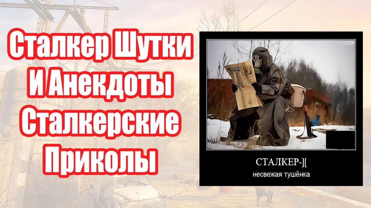 Анекдот появился в зоне черный сталкер. Сталкерские шутки. Шутки про сталкер. Анекдоты сталкер.