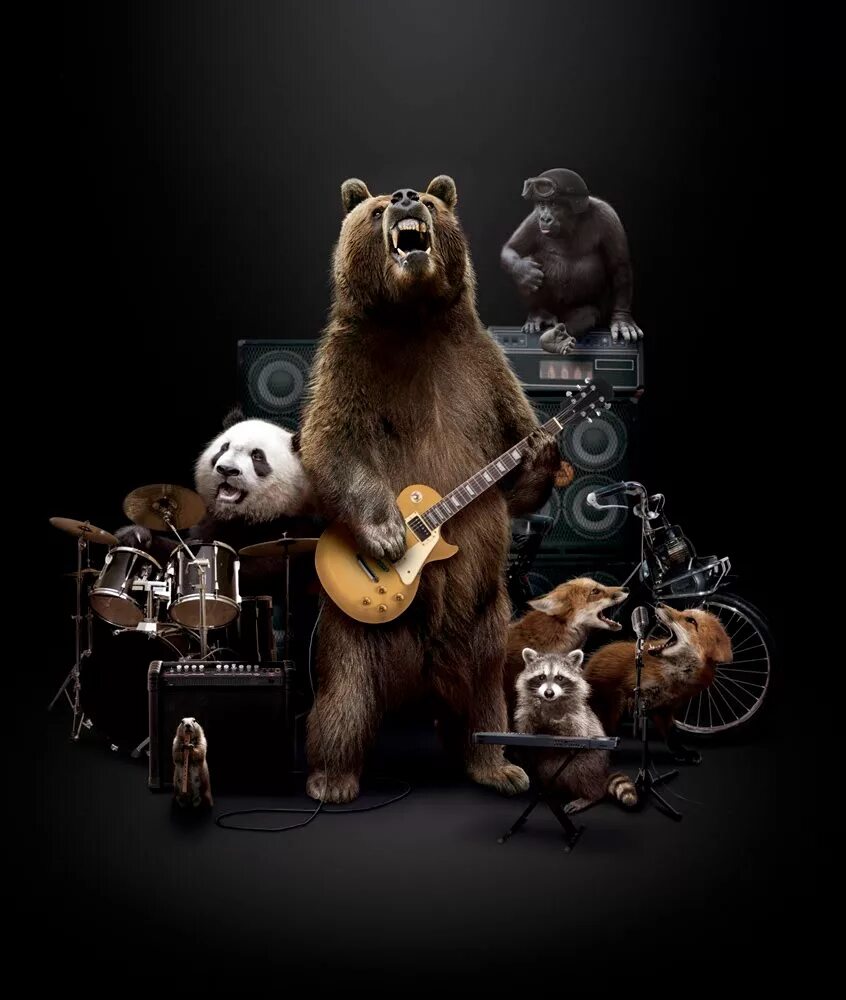 Звери музыканты. Медведь с гитарой. Медвежонок с гитарой. Медведь гитарист. Веселые рок песни