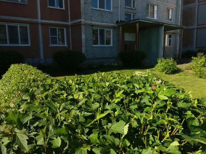 бульвар ленина 22. максим егоров благоустройство дворов тамбовщины. близлежащие дворы. благоустройство территории. сквер солнышко владивосток.