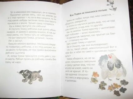 Чарушин друзья читательский дневник