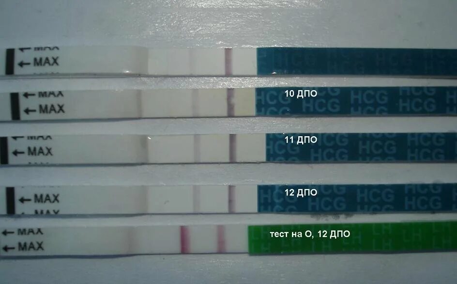 Тест на беременность ДПО. ДПО 2 полоски. Тест полоска на 10 день после овуляции. Тесты на беременность на ранних сроках ДПО. Тест на овуляцию показал слабую полоску